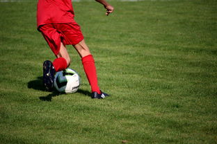 九游官网入口注册-青训球员选拔机制存在结构性偏见，青训选拔喜欢那种球员